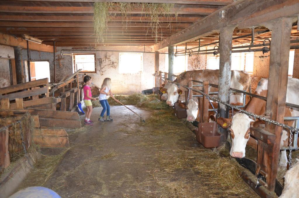 הוילה פלזס Baerntalerhof מראה חיצוני תמונה